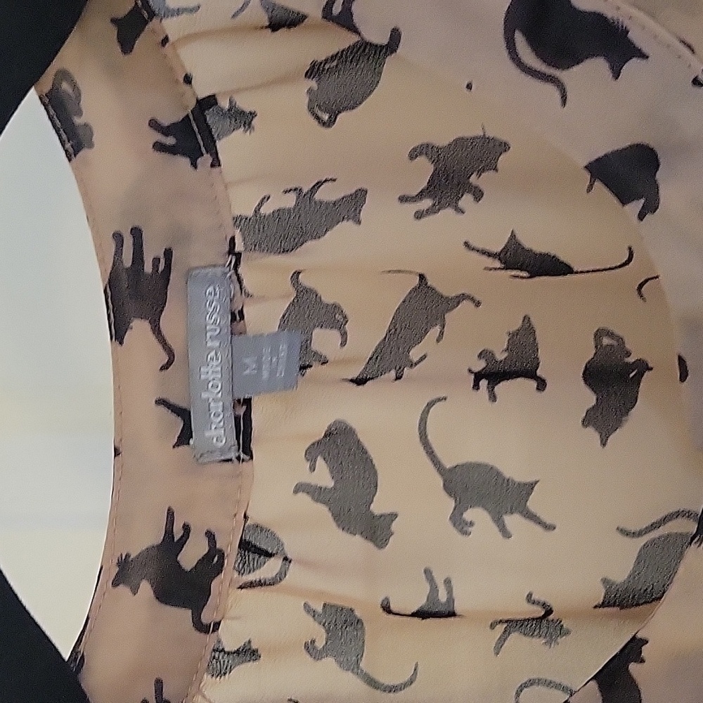 Sheer Cat Blouse - Picture 2 of 6
